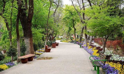 ماجرای چرایی ساخت مسجد در پارک های بزرگ شهر