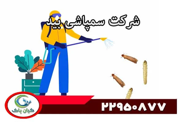 راه کاری برای از بین بردن بید فرش و بید لباس