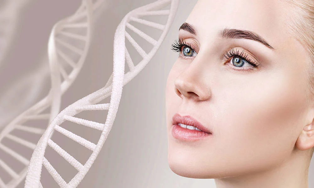 خواص خراطین برای بدن