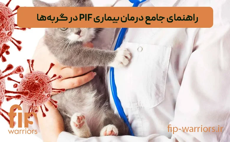 درمان راهنمای خرید داروی GS در ایران برای درمان FIP با اطمینان کامل
