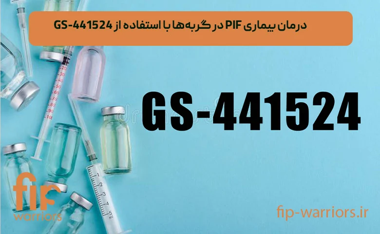 درمان راهنمای خرید داروی GS در ایران برای درمان FIP با اطمینان کامل