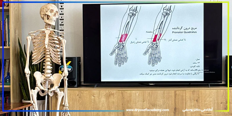 آموزش | ورزش چگونه با دورههای حرفهای ورزشی مربی بهتر و آگاهتری شویم؟