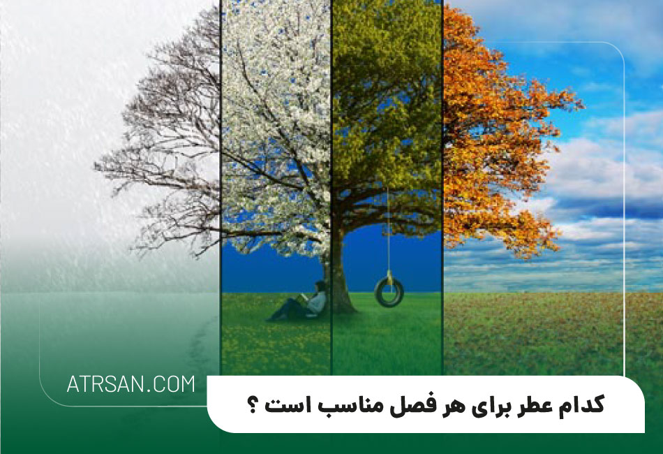 راهنمای خرید عطر: چه عطری مناسب چه فصلی است؟