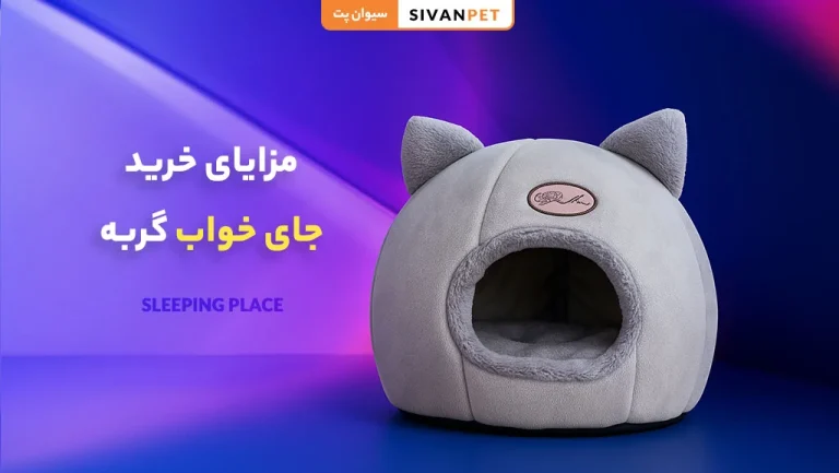 مزایای خرید جای خواب گربه از سیوان پت