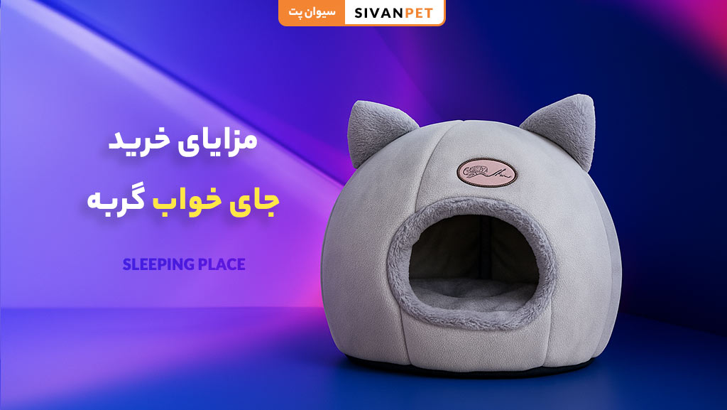 مزایای خرید جای خواب گربه از سیوان پت