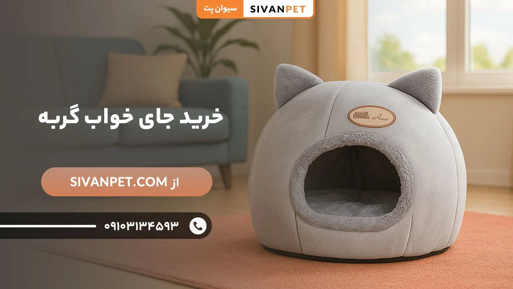 حیوان خانگی مزایای خرید جای خواب گربه