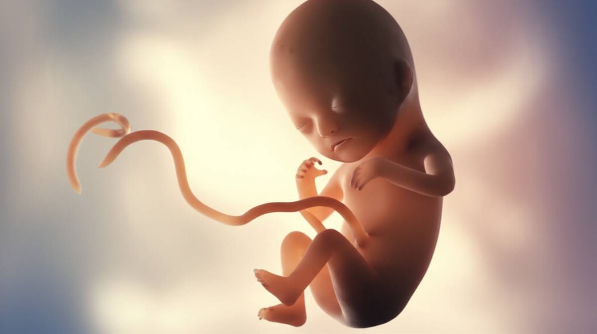 جنین ۴ ماهه چقدر است؟ (اندازه، وزن و مراحل رشد)