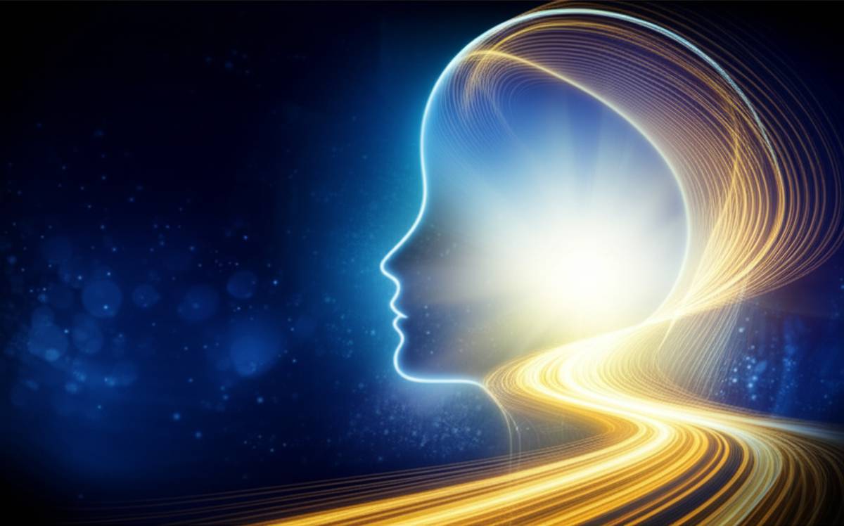 کتاب خلاصه کتاب ثروت از رگ گردن | محمد استرآبادی