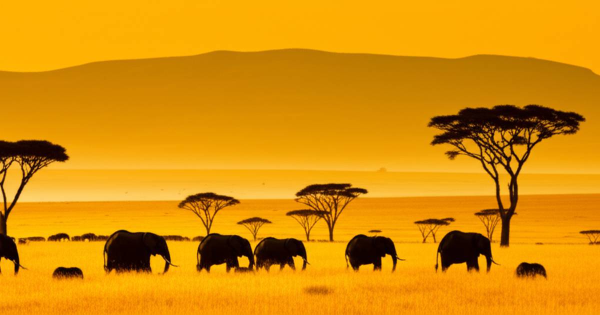 آفریقا | گردشگری نکات مهم سفر به آفریقای جنوبی: راهنمای کامل و به روز ۲۰۲۴