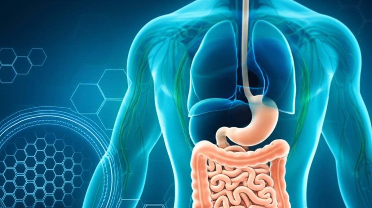 جراحی خلاصه درسنامه برونر و سودارث: گوارش (داخلی جراحی)