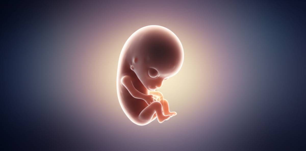 سقط جنین یک هفته ای - علائم، دلایل و مراقبت‌ها