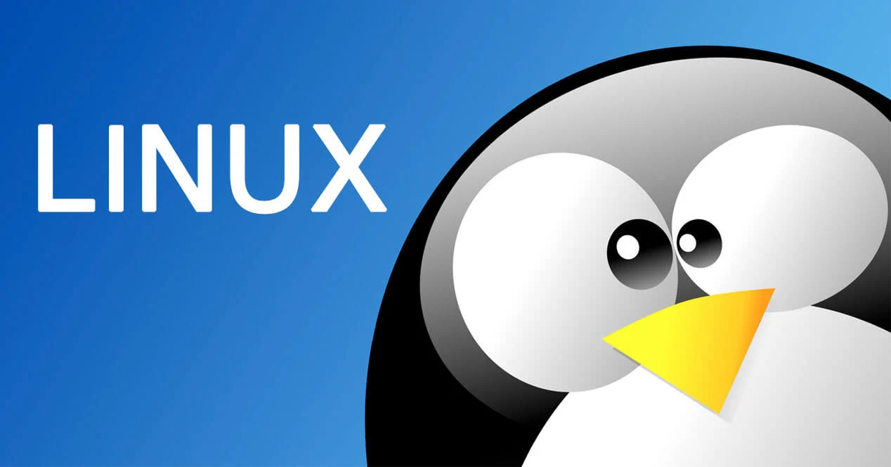 شبکه | اتوماسیون چرا یادگیری لینوکس (Linux) برای متخصصان سیسکو حیاتی است؟