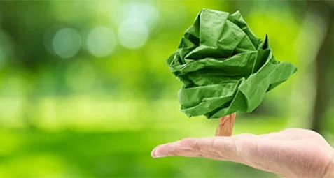 صرفه‌جویی در کاغذ و کمک به محیط زیست با مطالعه دیجیتال